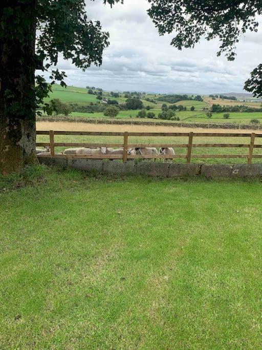 Ivy House Farm, Near Longnor Villa Longnor  Exteriör bild